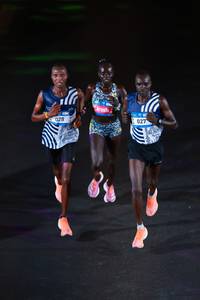 BIB: 
                            <button type="button" onclick="openModal(22933797)" class="btn btn-primary btn-sm float-right btn-popup" data-toggle="modal" data-target=".modal-high-quality">
                        <i class="fas fa-shopping-cart"></i> Add to Cart
                    </button>
                                            <button type="button" onclick="isThisMe(22933797, true)" class="btn btn-success btn-sm float-right btn-popup btn-isme hidden" data-toggle="tooltip" data-placement="bottom" title="นี่คือรูปของคุณใช่ไหม คลิกที่นี่เพื่อเอาเข้าอัลบั้ม">
                        <i class="fas fa-plus"></i> Add to album
                    </button>
                    <button type="button" onclick="isThisMe(22933797, false)" class="btn btn-warning btn-sm float-right btn-popup btn-isnotme hidden">
                        <i class="fas fa-ban"></i> Remove from album
                    </button>